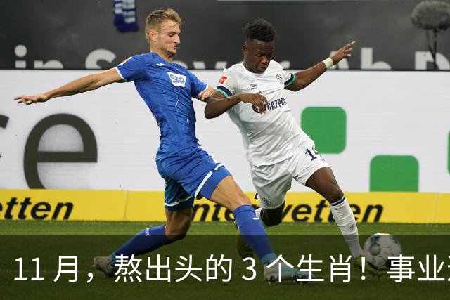 11 月，熬出头的 3 个生肖！事业逐步走高，辛苦付出开始变现